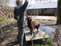 afb_20160502 (100)